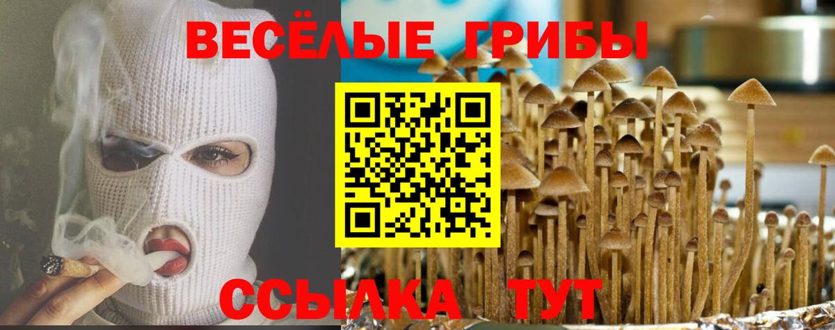 Псилоцибиновые грибы мухоморы  купить наркотик  Вход с VPN  Серпухов  Псилоцибиновые грибы GOLDEN TEACHER 